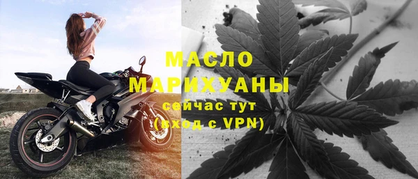 молекула духа Бородино