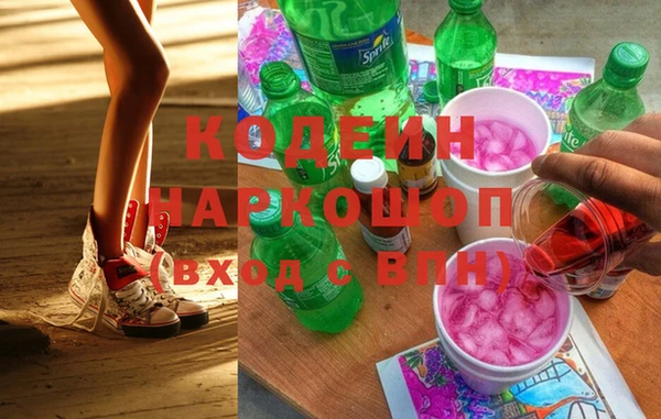 молекула духа Бородино